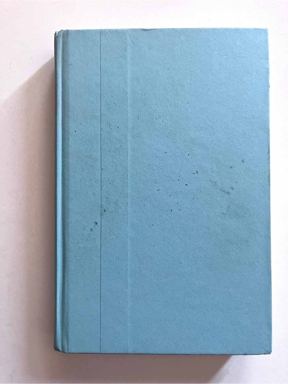 2 Danielle Steel Books ‘The Ghost’ & ‘Flying Angels’ No Dustjackets - Picture 5 of 6